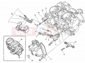 DUCATI 1999 Monster 750 Dark CARBURETOR » INTAKE, CARBURETTOR