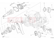 DUCATI Scrambler Icon VERTICAL CYLINDER HEAD - TIMING
