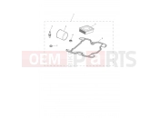 Triumph 2022 STREET SCRAMBLER Engine Service Kit