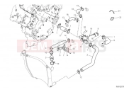 DUCATI Panigale V4 R Cooling circuit