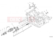 DUCATI Panigale V4 Shift cam & fork