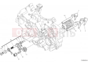 DUCATI Panigale V2 Shift cam & fork