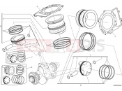DUCATI Panigale V2 Troy Bayliss Cylinders & pistons