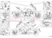 DUCATI Diavel V4 Positioning plates