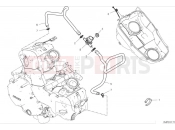 DUCATI Hypermotard 950 SP Exhaust silencer