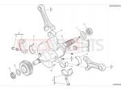 DUCATI Hypermotard 950 SP Connecting rods