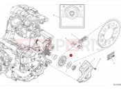 DUCATI Monster Plus Front sprocket & chain