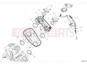DUCATI Monster Plus Throttle body