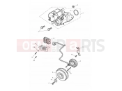 TRIUMPH THUNDERBIRD Starter & Alternator