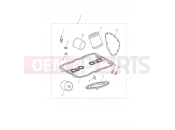 TRIUMPH THUNDERBIRD Service Kits
