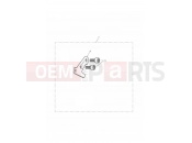 TRIUMPH THUNDERBIRD Restrictor Kit, 25KW