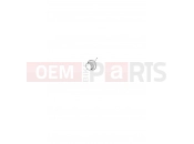 TRIUMPH THUNDERBIRD Oil Gallery Plugs
