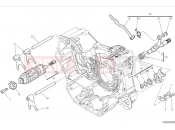 DUCATI Scrambler Icon Shift cam & fork