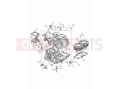 Triumph 2024 Speed Twin 900 Crankcase & fittings