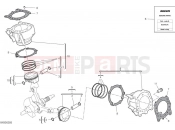 DUCATI 2022 Monster Pistons & Cylinders