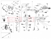 Front electrical system - Motoguzzi V85 TT E5+ (EU) 2024