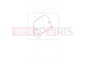 Screen, Short, Clear - Triumph Scrambler 900 2024