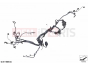 Main wiring harness - BMW Motorrad F 900 R A2 25 (0K91) 2024