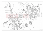 DUCATI Scrambler Desert Sled COMPLETE HALF-CRANKCASES PAIR