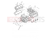 TRIUMPH Tiger 1200 GT Explorer Crankcase & Fittings
