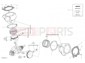 CYLINDERS & PISTONS - Ducati Multistrada 1260 S Touring 2020