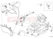 Cooling circuit - Ducati Hypermotard 950 SP 2025