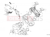 Throttle body - Ducati Hypermotard 950 SP 2025