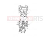 TRIUMPH Speed Triple RS Crankcase Bolts