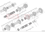 Gear box - Ducati Scrambler 1100 Sport Pro 2025