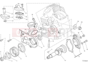 Horizontal head timing system - Ducati Scrambler 1100 Sport Pro 2025