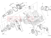 Vertical head timing system - Ducati Scrambler 1100 Sport Pro 2025