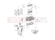 Triumph 2024 Speed Twin 1200 Cylinder Head & Valves