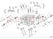 DUCATI 2025 Monster Plus Vertical cylinder head