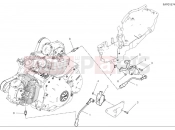 DUCATI 2025 Scrambler Icon Dark Wiring harness
