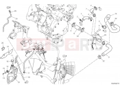 DUCATI Multistrada V4 Cooling circuit