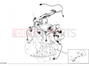 DUCATI 2025 Multistrada V4 S Engine electric system