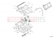 DUCATI 2025 Multistrada V4 S Crankcase bearings