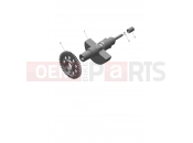 Triumph 2025 Scrambler 400 X balancer
