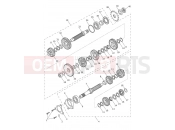 Triumph 2025 TRIDENT 660cc CN4040 > Transmission