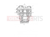 Triumph 2025 TRIDENT 660cc CN4040 > Crankcase Bolts