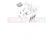 Triumph 2025 TRIDENT 660cc CN4040 > Engine Management