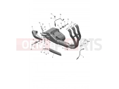 Triumph 2025 TRIDENT 660cc CN4040 > Exhaust System