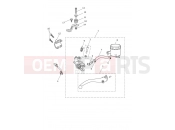 Front Master Cylinder Assy - Triumph SCRAMBLER 1200 XE - CL1737 > 2025