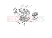 Crankcase & Fittings - Triumph SCRAMBLER 1200 XE - CL1737 > 2026