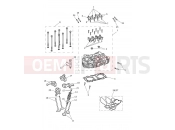 Cylinder Head & Valves - Triumph SPEED TWIN 900 CB9310 > 2026