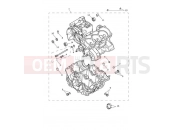 TRIUMPH Trident 660 Crankcase & Fittings