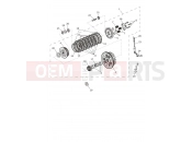 Triumph 2025 SPEED TWIN 1200 Clutch