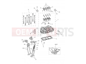 Triumph 2024 SCRAMBLER 1200 X Cylinder Head & Valves