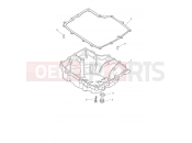 Triumph 2026 TIGER 900 Desert Sump & Fittings