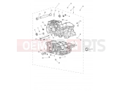TRIUMPH TIGER 900 Crankcase & Fittings